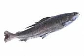 Хариус с/м 300+ гр