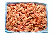 Креветка мохнатая "Морской дракон" 70/90 (Магаданрыба)