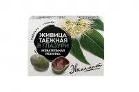 Живица таежная с эвкалиптом в глазури 1г (резинка жевательная)