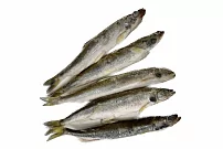 Корюшка свежемороженая н/р 20+ РОССИЯ