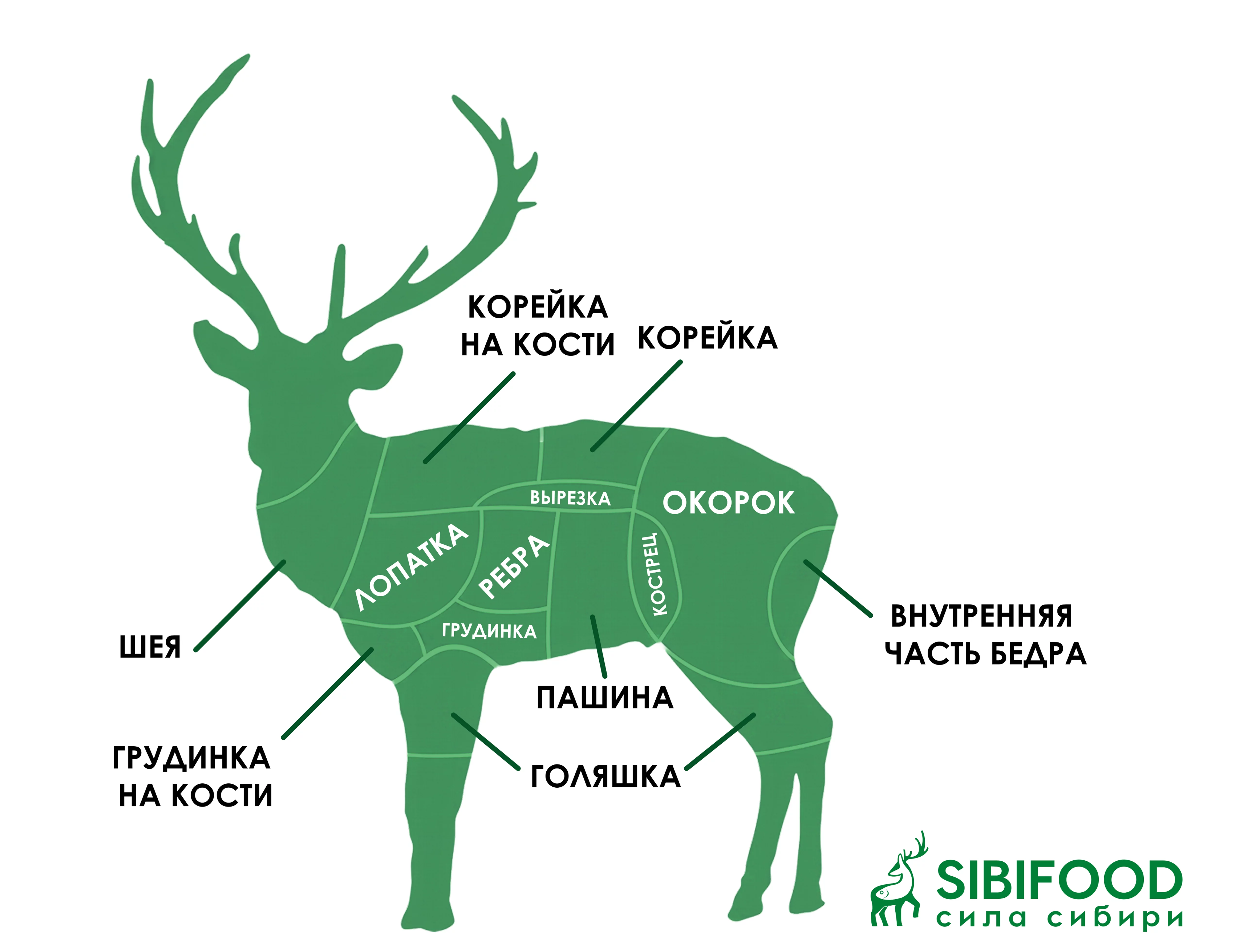 Оленина от А до Я: 