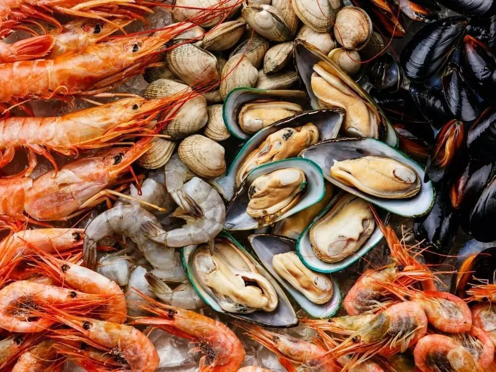 Польза морепродуктов