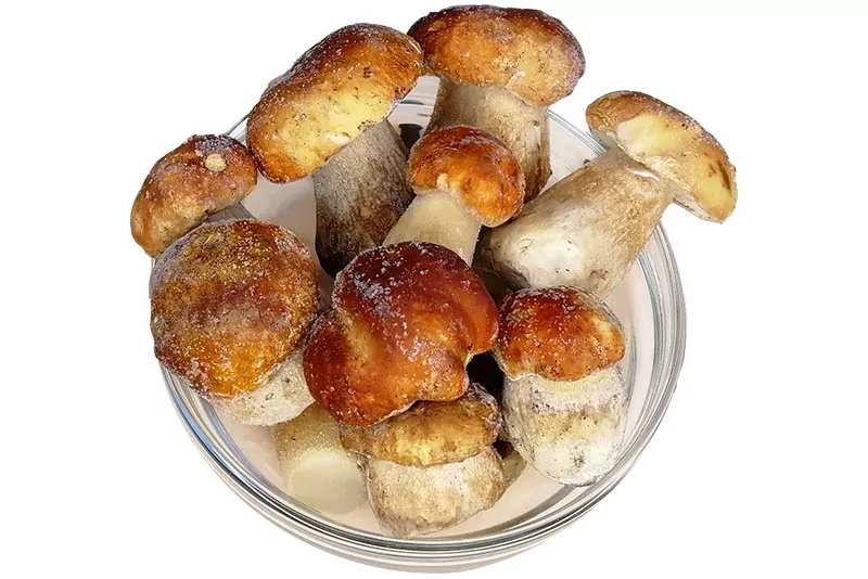 Гриб белый экстра 3/4 см 9 кг/1 кг