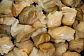 Мясо Рапаны мороженое по 1 кг, коробка 1/14 кг