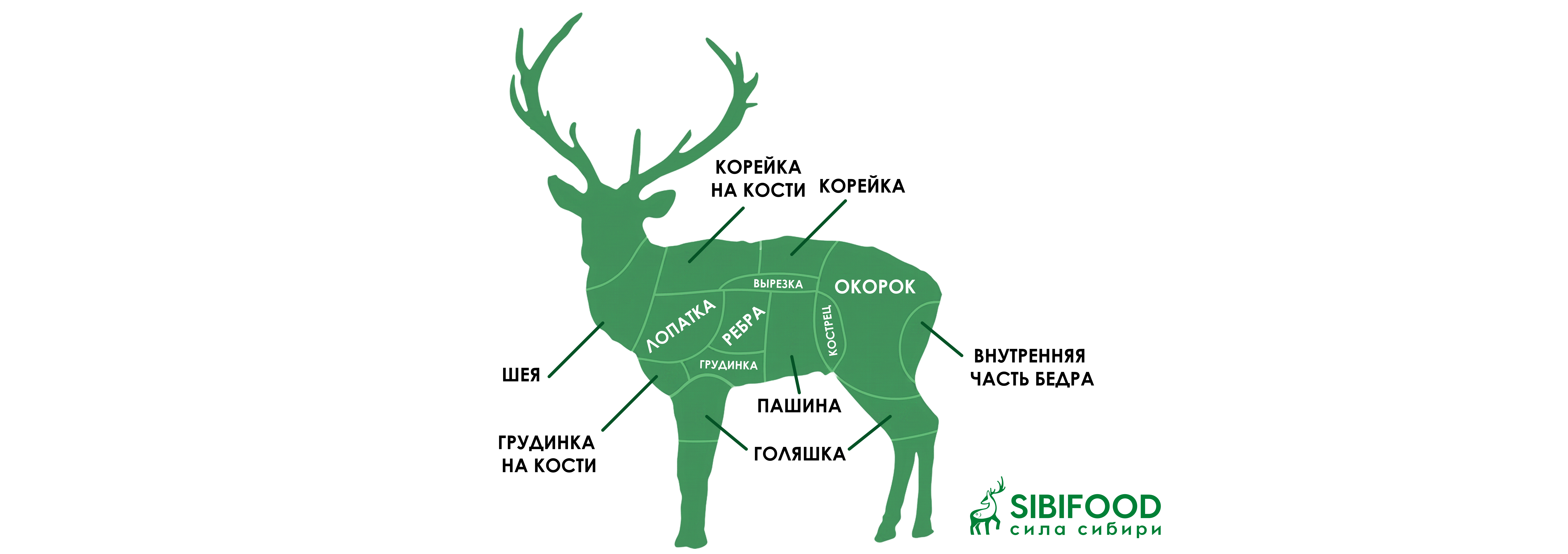 Оленина от А до Я: 